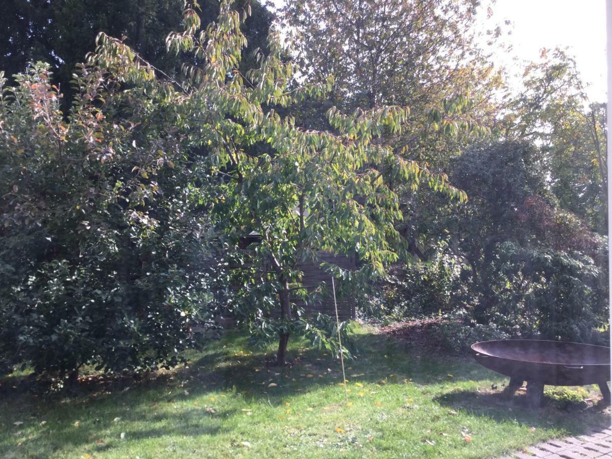 Fewo Radebeul Altkötzschenbroda Exterior foto